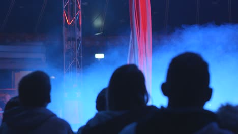 Audience-looking-at-Circus-performance