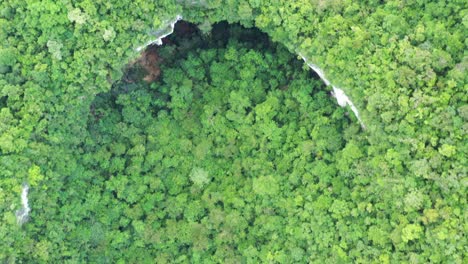 Drone-flying-over-cave-opening-overgrown-with-forest-in-Samar-Philippines