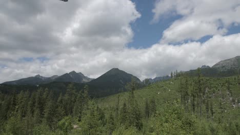 panorama of the mountains surrounded by forest and glades