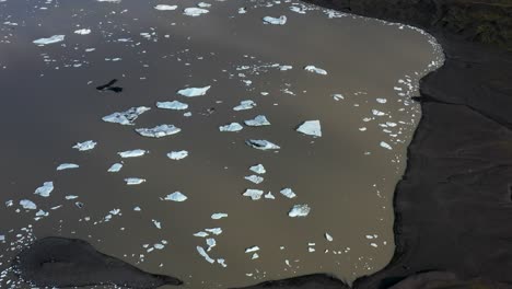 aerial view of ice floes from vatnajökull glacier drifting in a lagoon against the black sands of iceland's shores