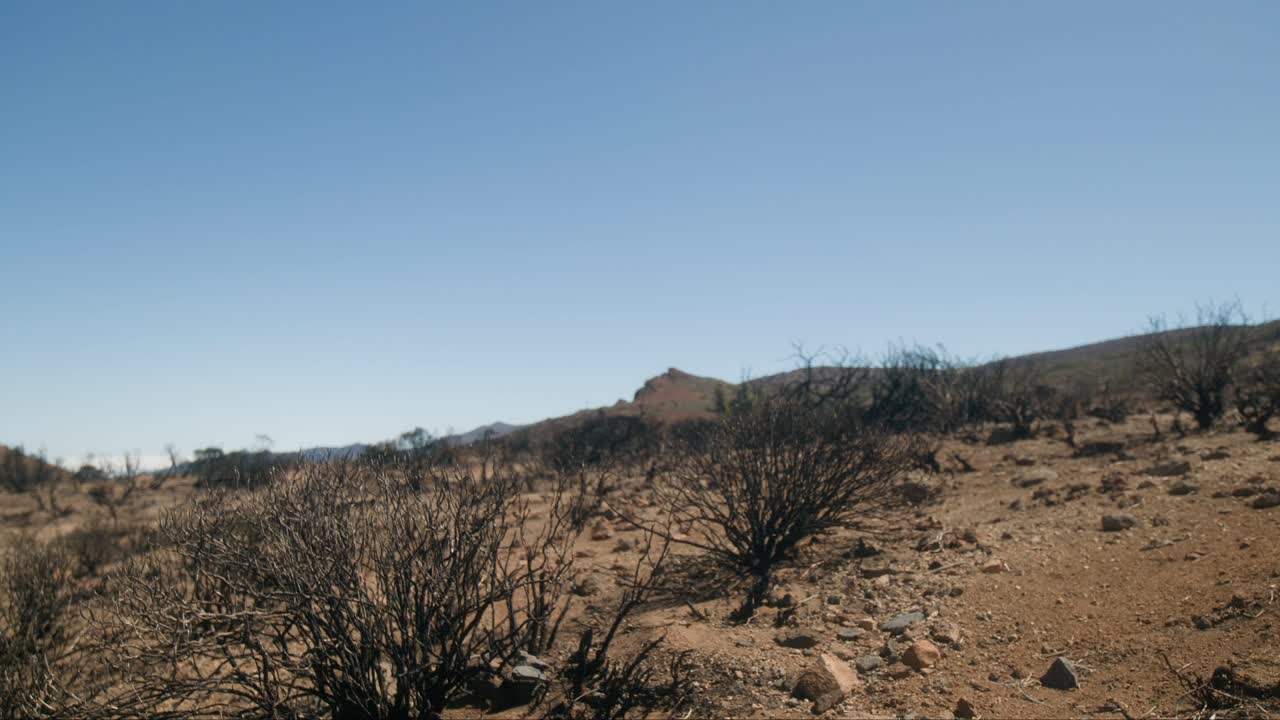 сгоревший, пустынный пейзаж на тенерифе, канарские острова