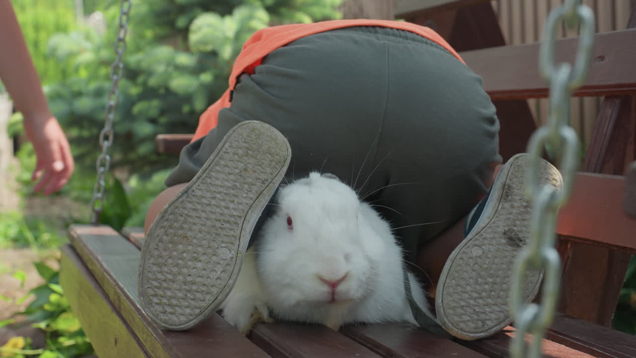 Child Protects Fluffy Small Animal, Playful Child Carefully Defends Her Adorable Furry Friend Outside, Enthusiastic Young Girl Joyfully Provides Safety For Her Tiny Furry Companion In Backyard