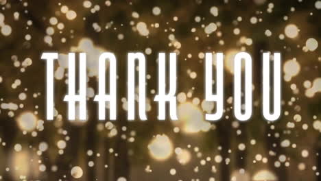 animation of thank you text over falling light spots