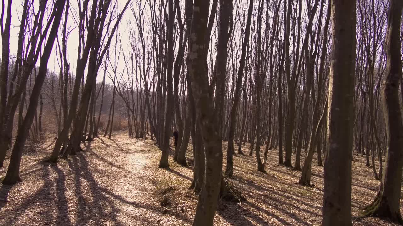 A young woman goes for a walk in the woods on an autumn day