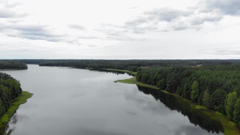 Sobrevuelo-Vasto-Bosque-Verde-Al-Borde-De-Un-Lago-En-Pradzonka-Polonia---Toma-Aérea