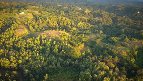 Cinematic-view-of-a-vast-tropical-wilderness-during-sunset