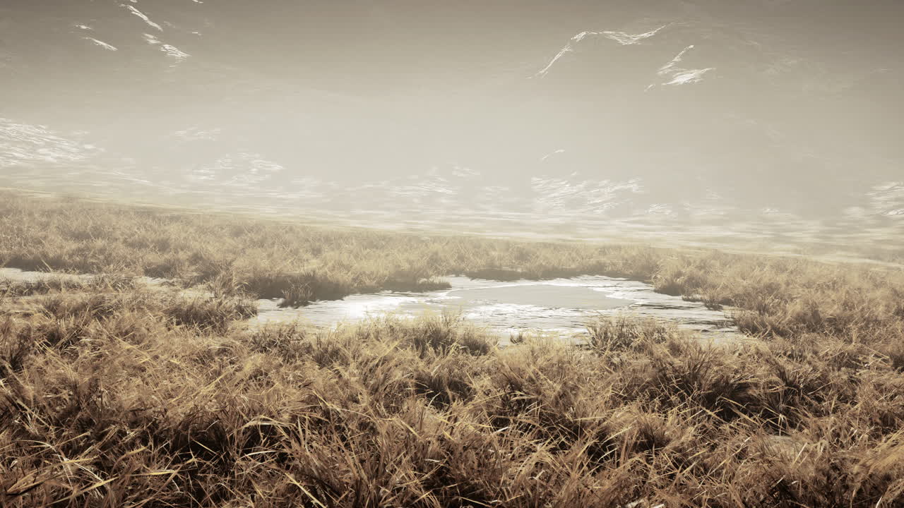 piedras cubiertas de hierba y musgo bajo el cielo brillante de nepal