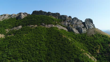 mountain landscape with lush forest