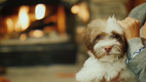 Woman-Holding-Puppy-by-an-Open-Fire