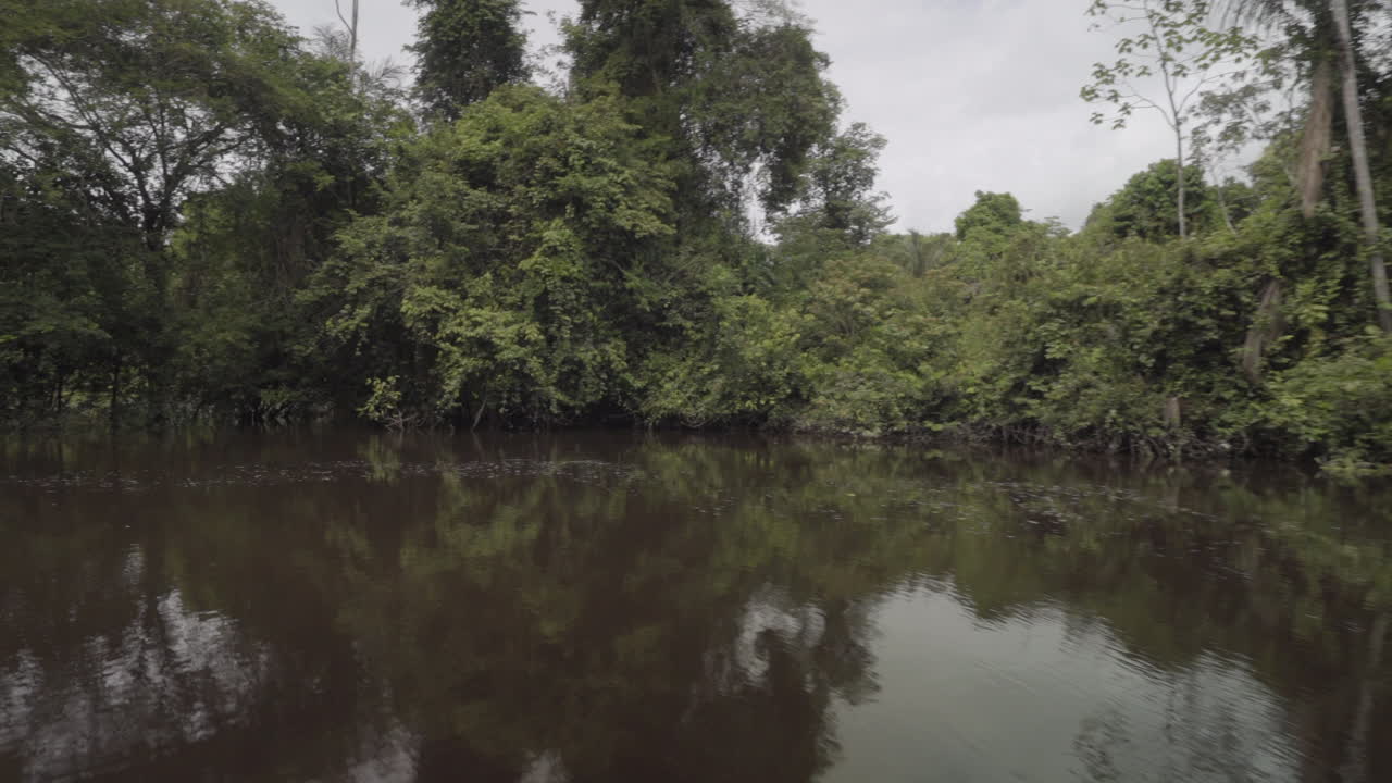 vista en primera persona del río amazónico y la selva en un día nublado