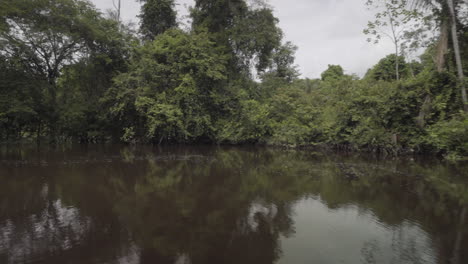 Blick-Aus-Der-Ersten-Person-Auf-Den-Amazonas-Und-Den-Dschungel-An-Einem-Bewölkten-Tag