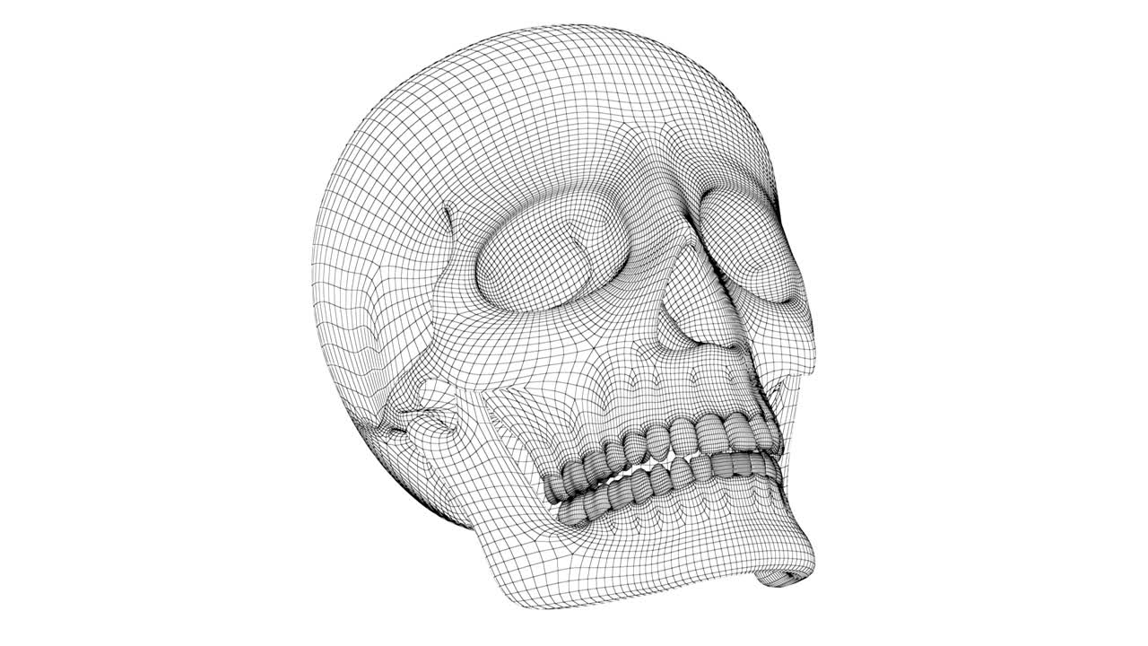 сеть черепа. запись в цикле имеет разрешение 4к.