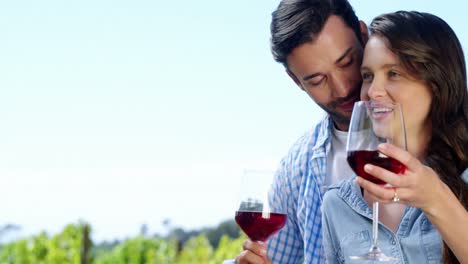 pareja bebiendo vino en la granja