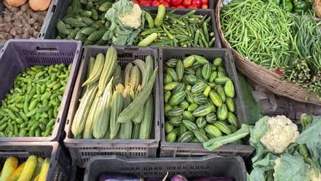 close up shot of vegetables on display at a roadside stall with cauliflower, beans, brinjal, bitter gourd, ladies finger, cucumber, tomato, parwal in india at daytime