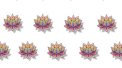 Composition-of-rows-of-lotus-flowers-moving-on-white-background