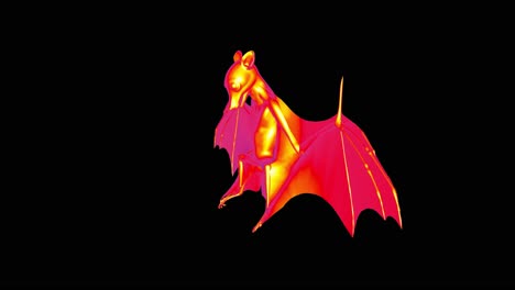 infrared of bat with corona virus disease