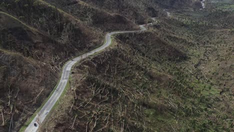 菲律賓萊特南部由台風奧德特摧毀的椰子樹在山坡上蜿蜒的道路