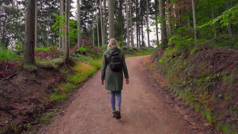 Chica-De-Senderismo-Caminando-Por-Un-Sendero-En-Un-Hermoso-Bosque-Con-Su-Impermeable-Y-Mochila-En