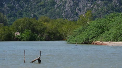 un barco turístico que sube al río en wat khao daeng, parque nacional khao sam roi yot, phrachuap khiri khan, tailandia