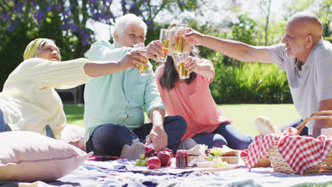 Fröhliche,-Vielfältige-ältere-Freunde-Und-Freundinnen-Stoßen-Bei-Einem-Picknick-Im-Sonnigen-Garten-An,-Zeitlupe