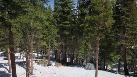 Flying-through-trees-in-forest-and-up-to-reveal-a-mountain-village