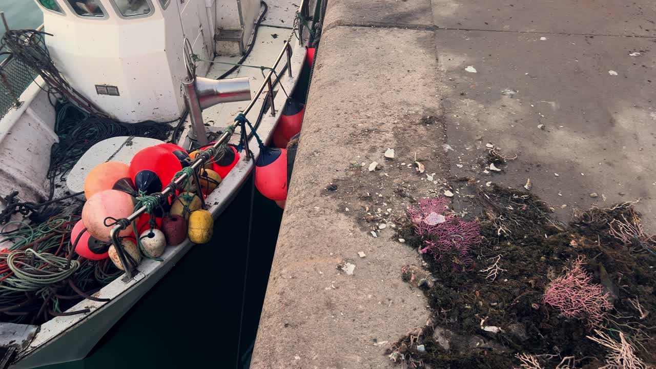 Una barca da pesca ormeggiata a banchine di cemento, adornata con boe colorate, che incarna l'essenza marittima di un piccolo borgo marinaro