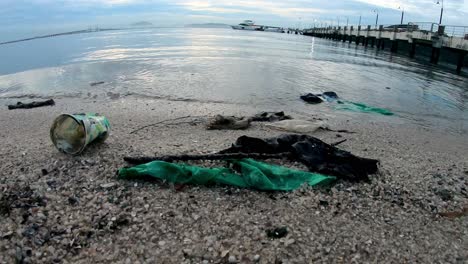 contaminación por plásticos desde el punto de vista de los peces