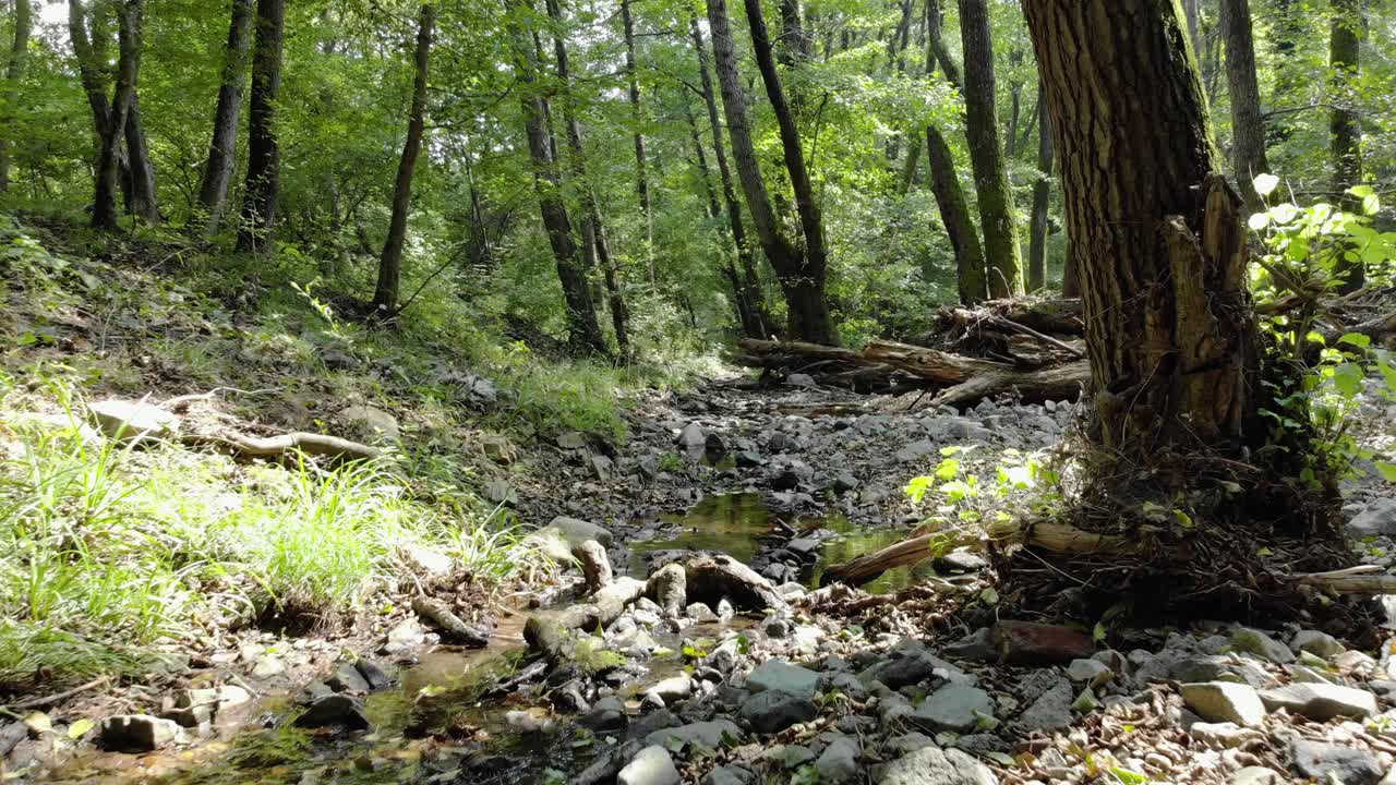 Very low drone footage of small river in the forest, slow downstream movement, summer time, Tzarevo, Bulgaria-5