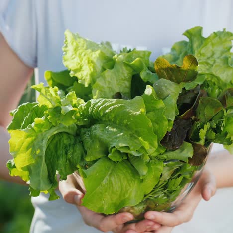 girl holds lettuce stands against the background of the house bed