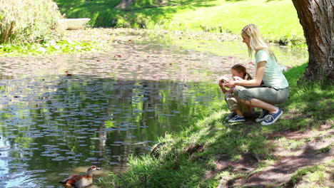 mother and daughter nourishing ducks