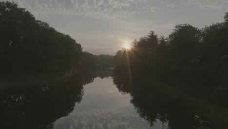 golden hour view from the river flowing through woodland