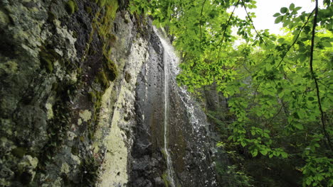 Wasserfall-Im-Wald,-Sichtbar-Zwischen-Den-Ästen-Der-Bäume