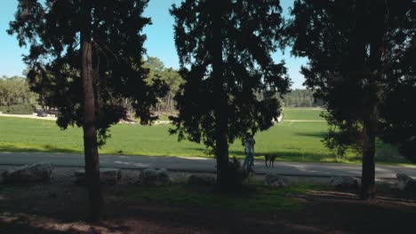 Mother,-father,-little-girl-and-vizsla-dog-walking-in-a-park-near-an-open-field-on-a-sunny-winter-day,-the-father-carries-the-girl---Dramatic-drone-movement-behind-the-trees,-sliding-to-the-right