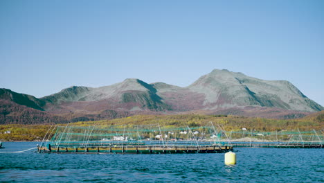 Salmon-Farming-In-The-Calm-Waters-By-The-Coast-of-Senja-Island-In-Norway---aerial-shot