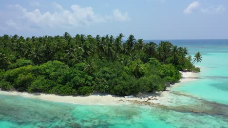 palm trees forest and lush vegetation over low tropical island surrounded by clean calm lagoon with beautiful patterns of corals and granite rocks in jamaica