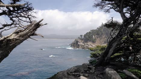 slow motion shot of view to the ocean from cliff with trees