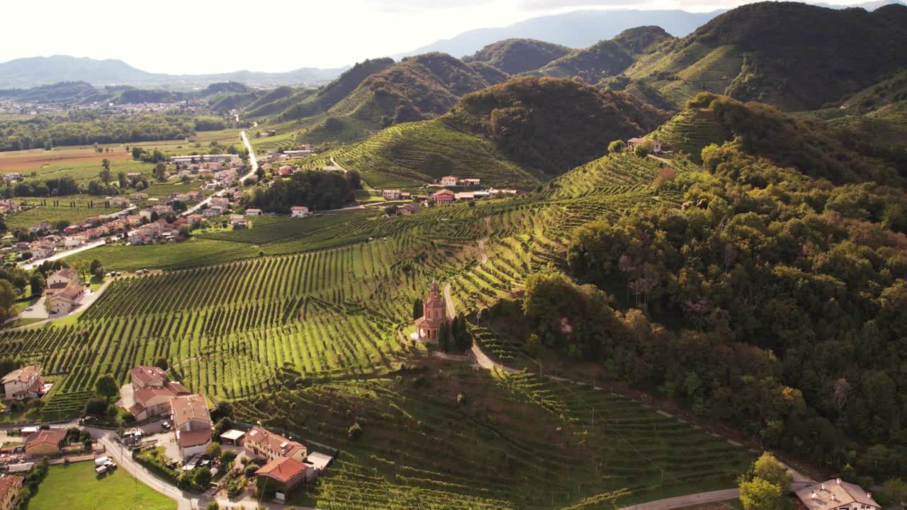 Vista aerea panoramica sulle famose colline del Prosecco con filari di vigneti, Italia, al tramonto