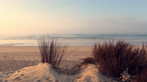 The-calm-allure-of-the-sandy-shoreline-unfolds,-adorned-with-the-gentle-touch-of-grassy-vegetation-atop-small-coastal-dunes