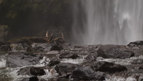 Majestic-Materuni-Waterfall-cascades-down-rocks-in-Moshi,-Tanzania,-creating-a-serene-and-powerful-scene