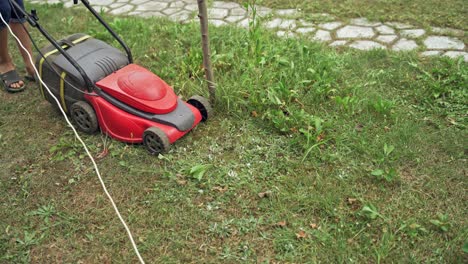 boy is working with lawn mower. electric lawn mower cutting grass in the yard. gardening activity.