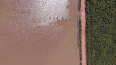 Vista-Aérea-Del-Lago-Y-La-Selva-Con-Camino-De-Tierra-En-El-Medio