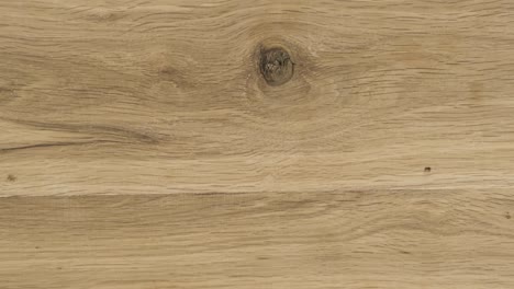 zoom oak wood texture. close-up of an oak board. natural texture of oak