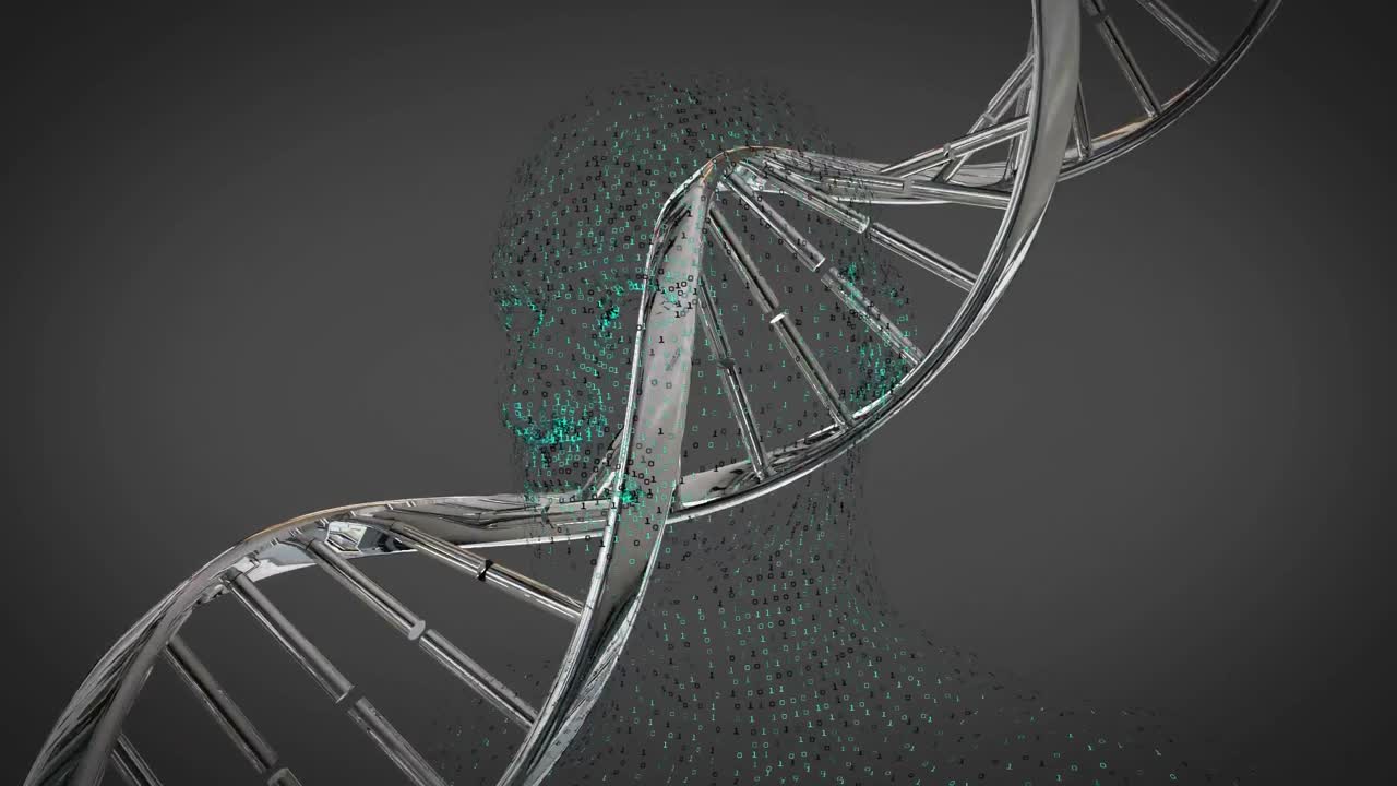 animación de una cadena de adn sobre un humano digital