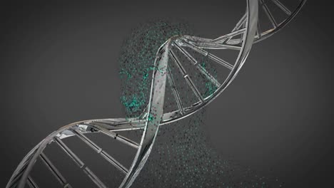 animation of dna strand over digital human