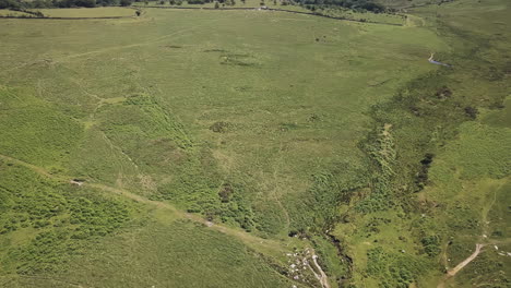 Luftstoß-über-Einem-Grünen-Tal-Im-Nationalpark-Dartmoor,-Vereinigtes-Königreich