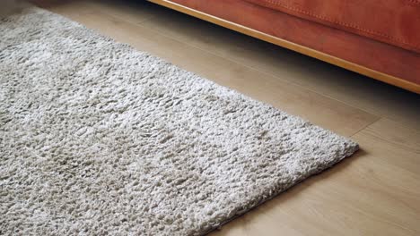 beige shaggy rug on wooden floor