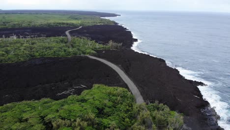 two 2018 lava flows that reached the ocean with a road over them and surviving forest surrounding