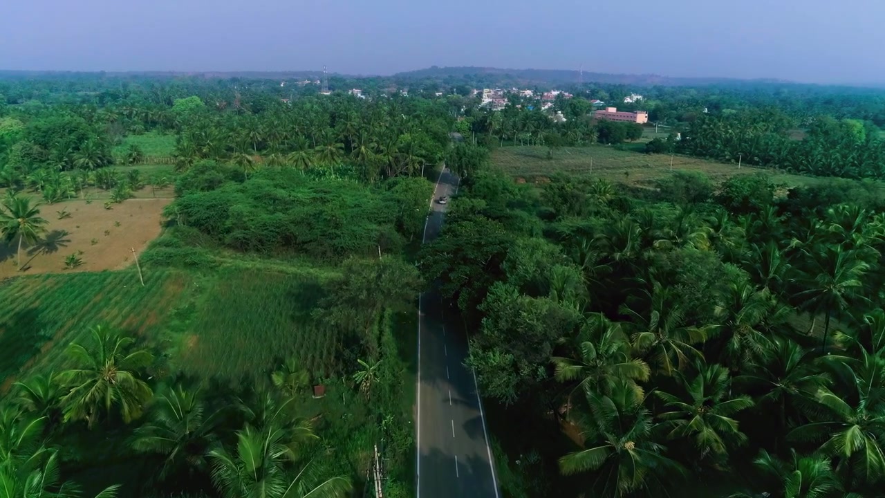 Luftfoto over stille motorvej mellem tætte palmetræer i Mandya-distriktet i Karnataka, Indien.