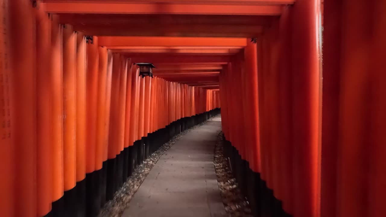 일본 교토 주 후시미 구에 있는 후시미 이나리-타이샤 사원의 센본 토리 (senbon torii in fushimi inari-taisha shrine) 도로를 고 있다.