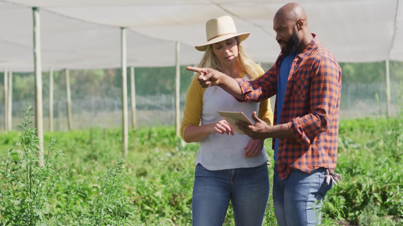 video de una mujer y un hombre felices y diversos usando una tableta y hablando en un invernadero
